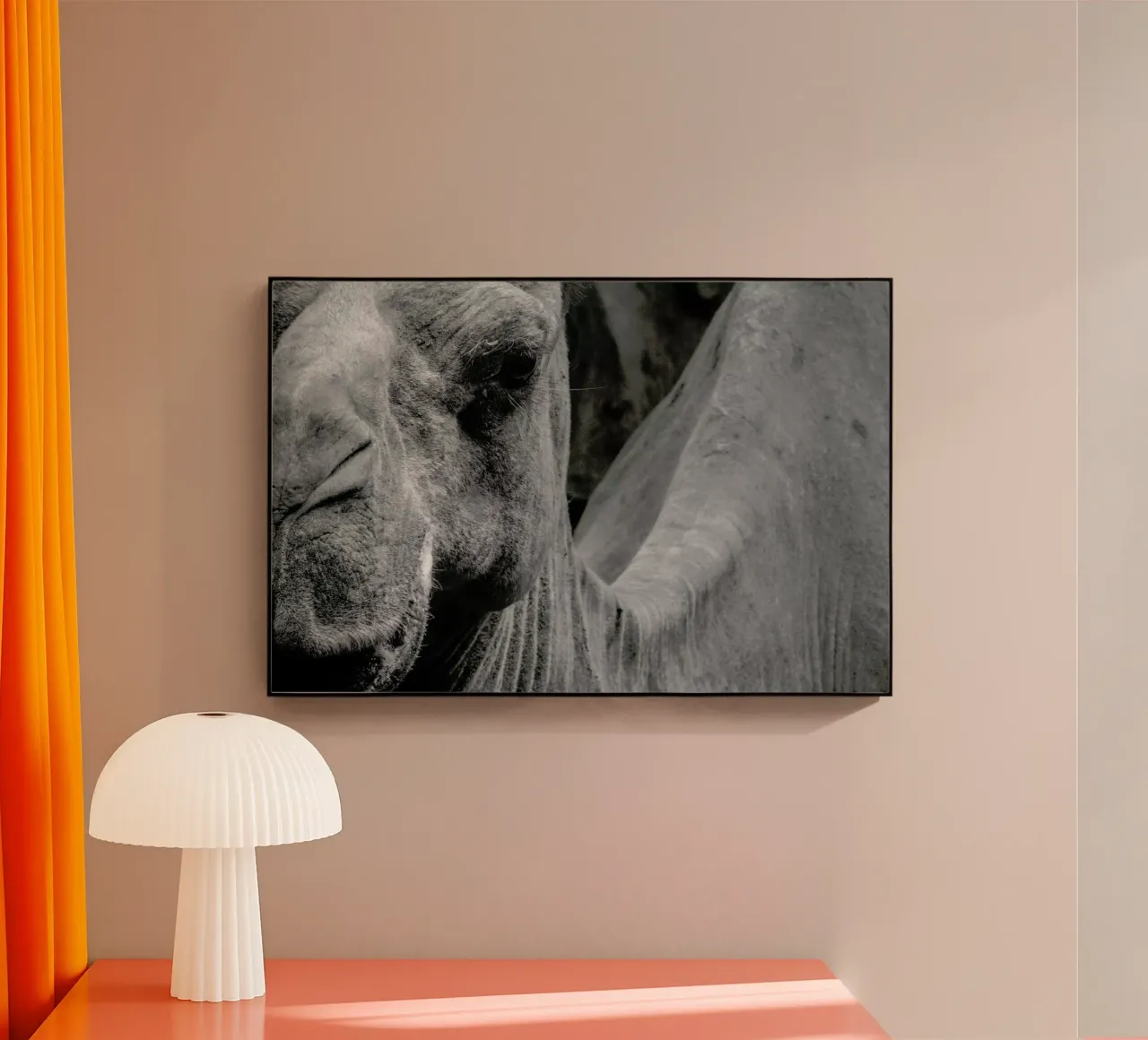 Camel plexiglass da Victoria Frost