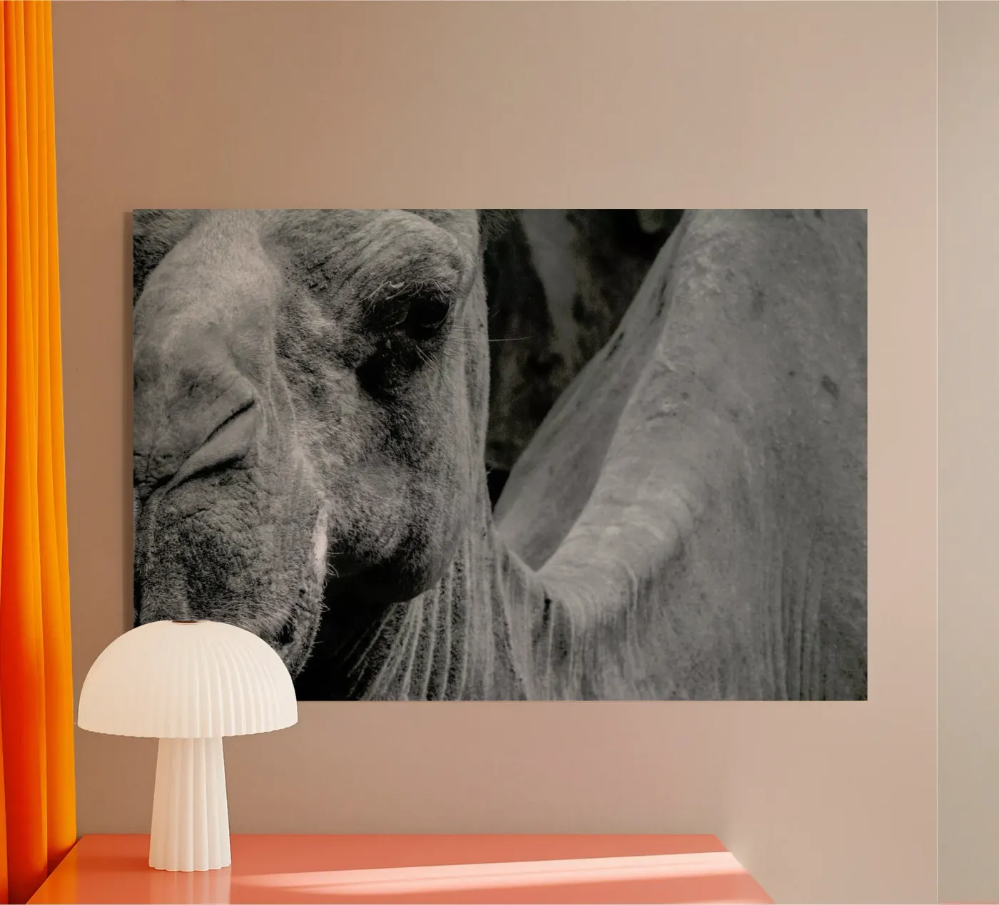 Camel plexiglass da Victoria Frost