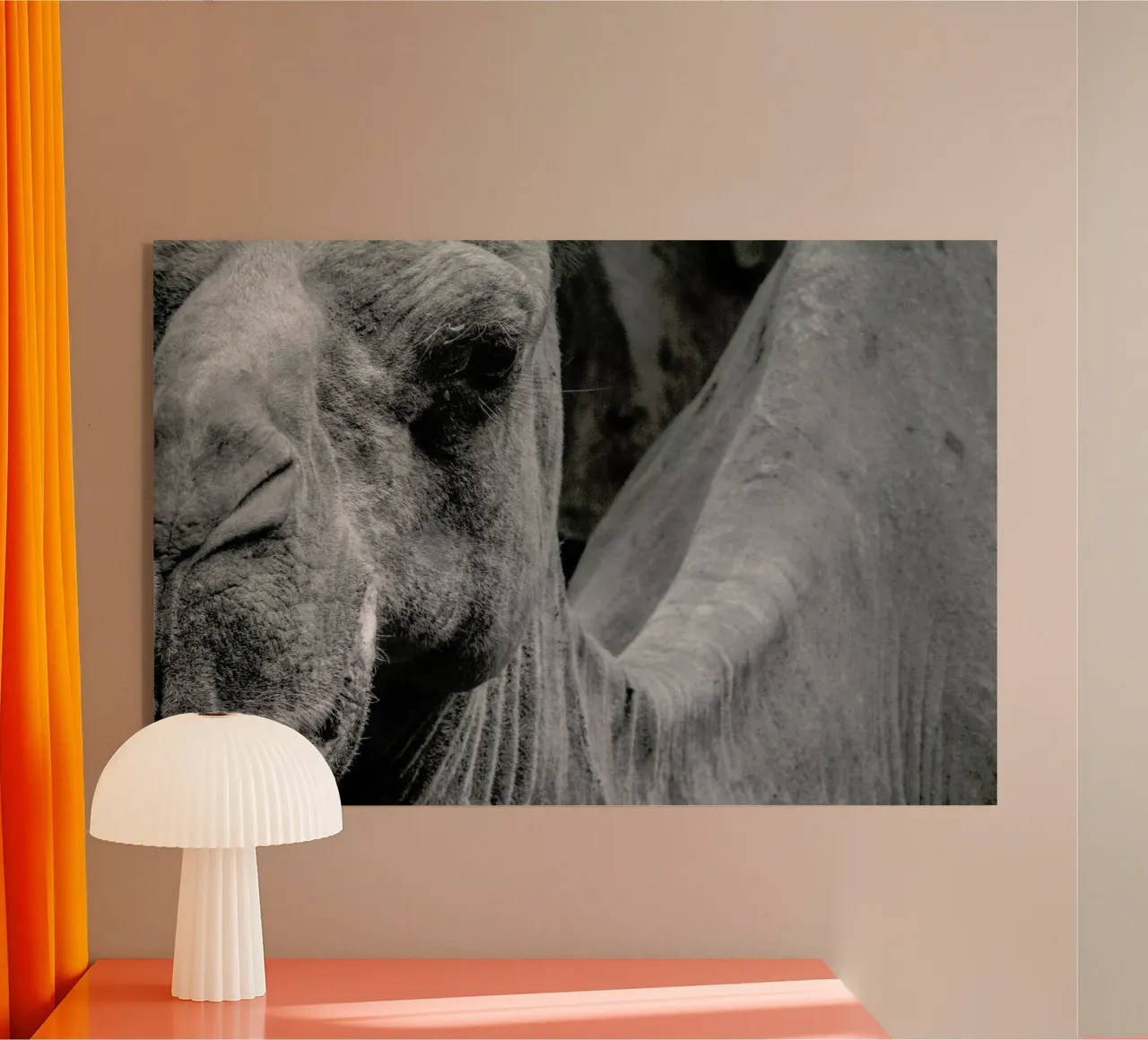 Camel plexiglass da Victoria Frost