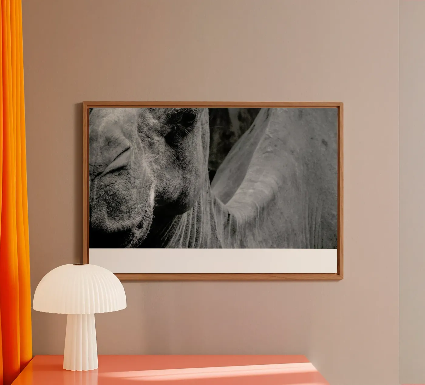 Camel forex plate by Victoria Frost