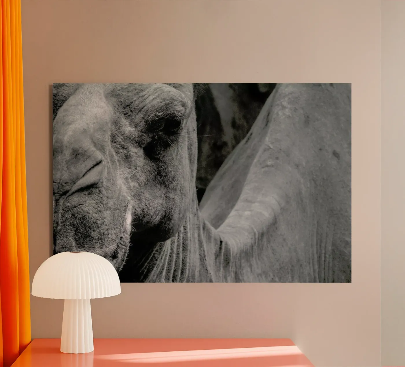 Camel forex plate by Victoria Frost