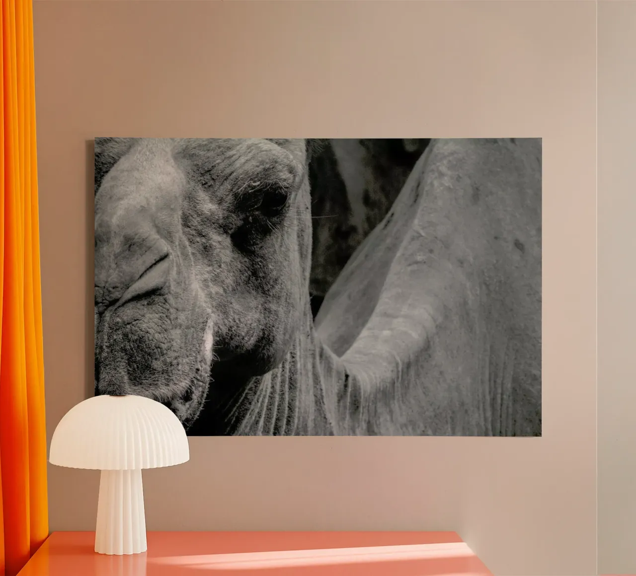 Camel tela con Cornice a cassetta da Victoria Frost