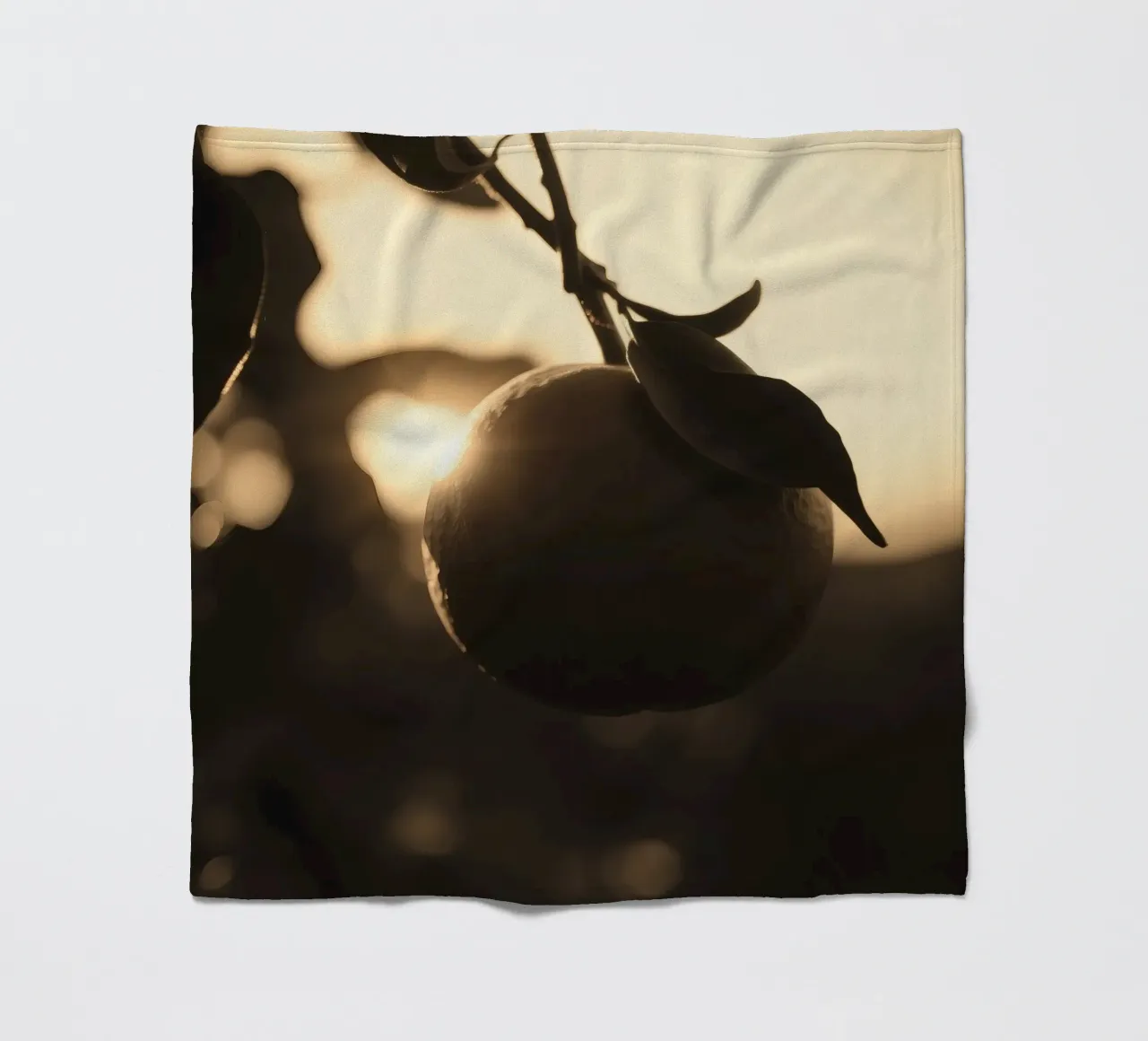 La luce del sole filtra attraverso le foglie mettendo in risalto un singolo arancione coperta in pile da DesignDoodle