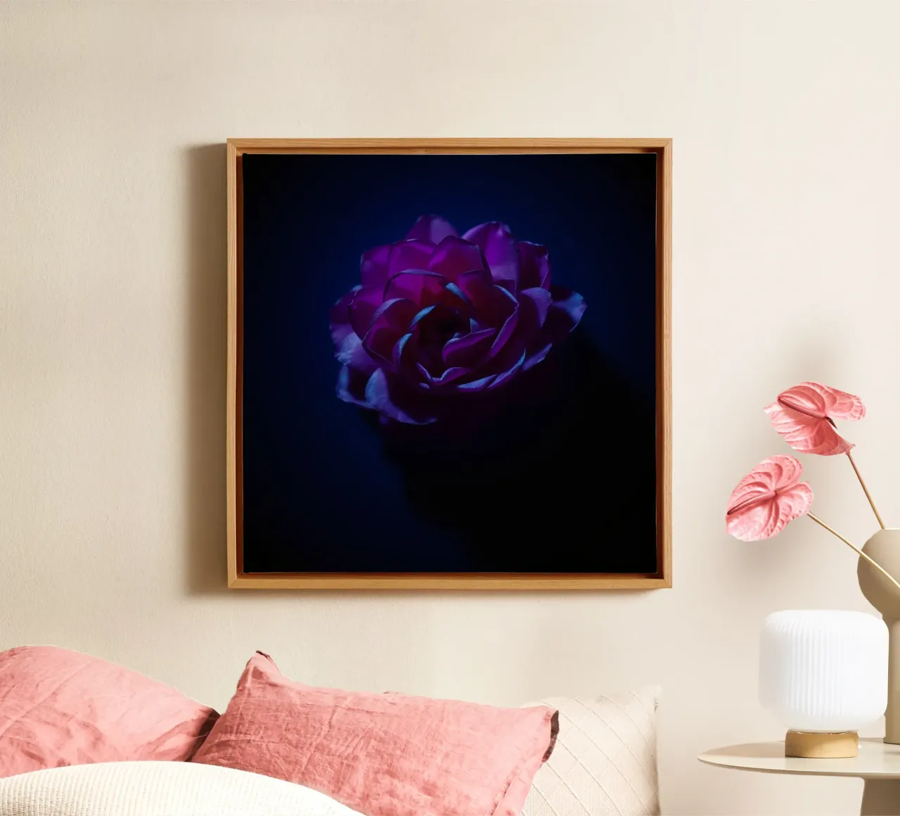 purple rose illuminated softly against dark background canvas with Floater frame by DesignDoodle