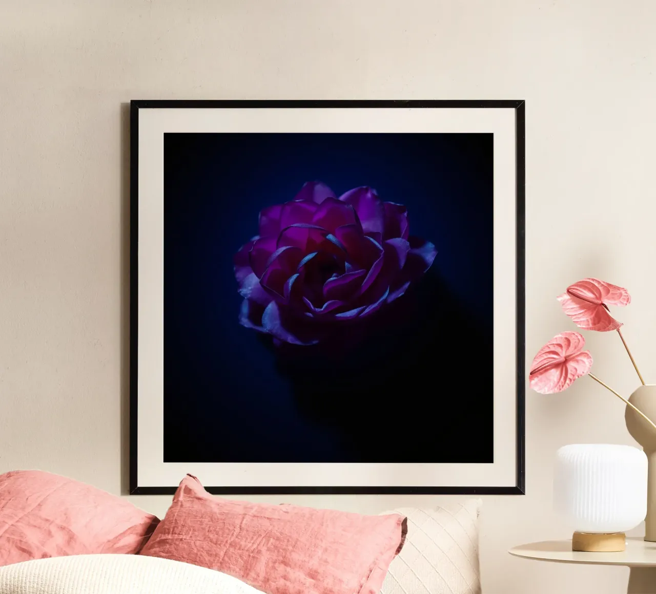 purple rose illuminated softly against dark background poster by DesignDoodle