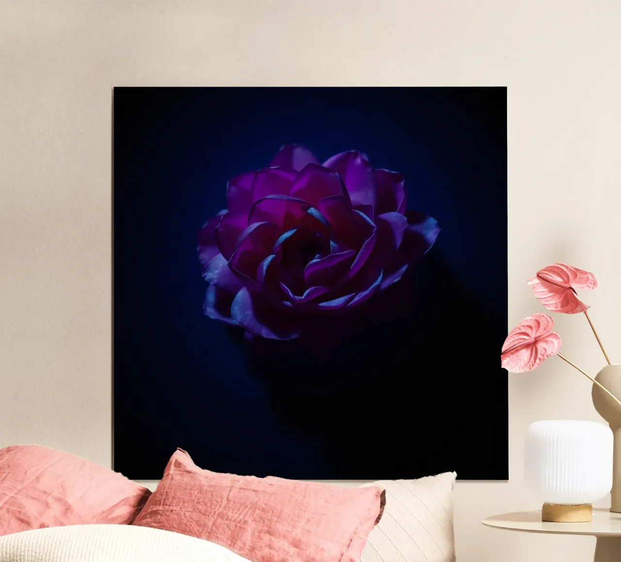 purple rose illuminated softly against dark background poster by DesignDoodle