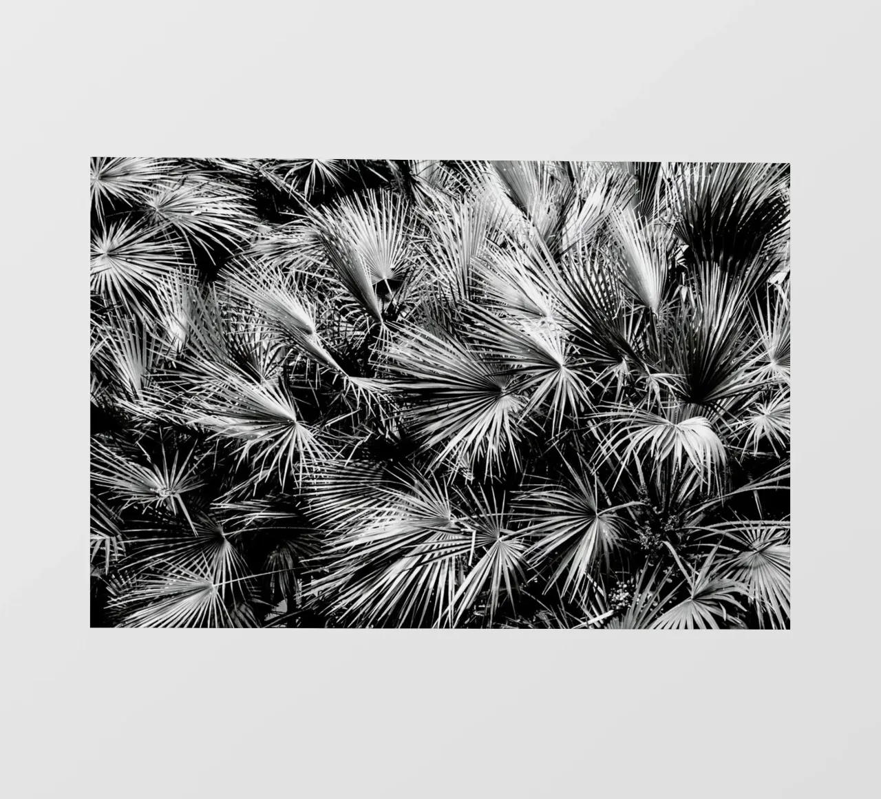 Palm Trees telo in pvc da Victoria Frost