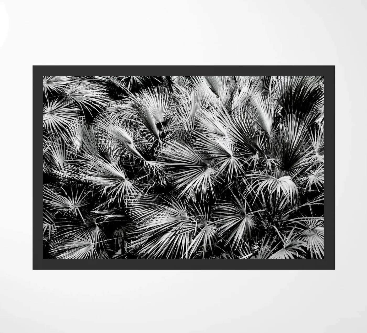 Palm Trees doormat by Victoria Frost