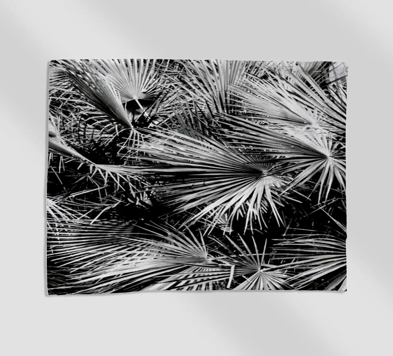 Palm Trees telo mare da Victoria Frost