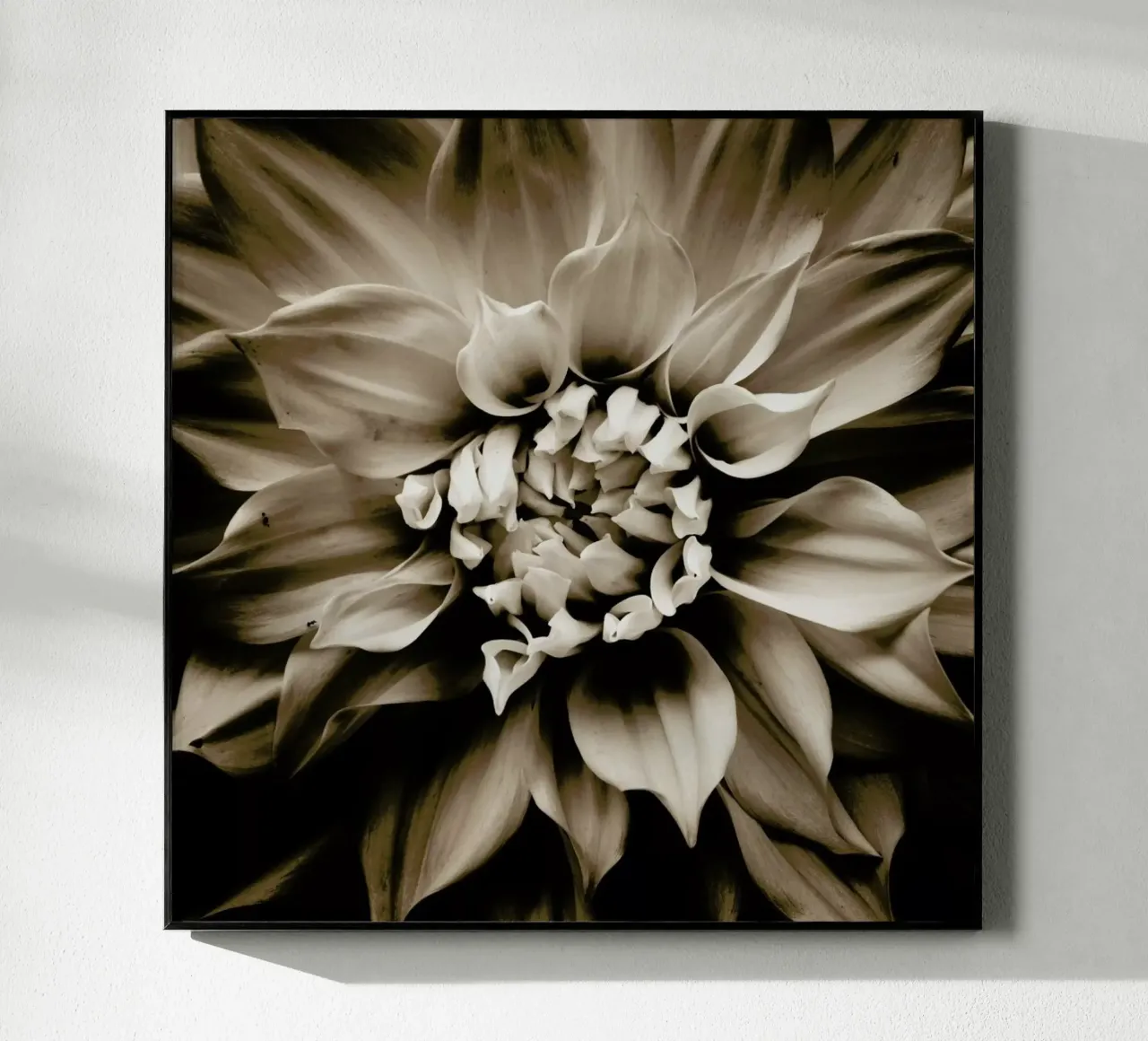 Flower III plexiglass da Victoria Frost