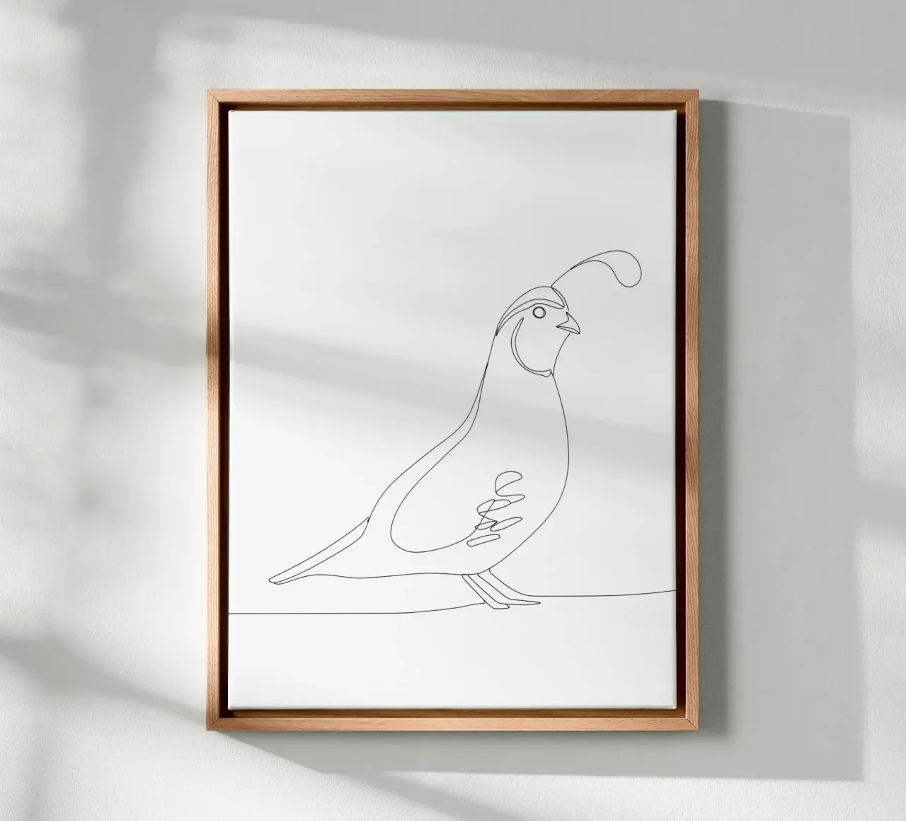 Quail Bird Minimalist Line Art Drawing canvas with Floater frame by Viv Line Art
