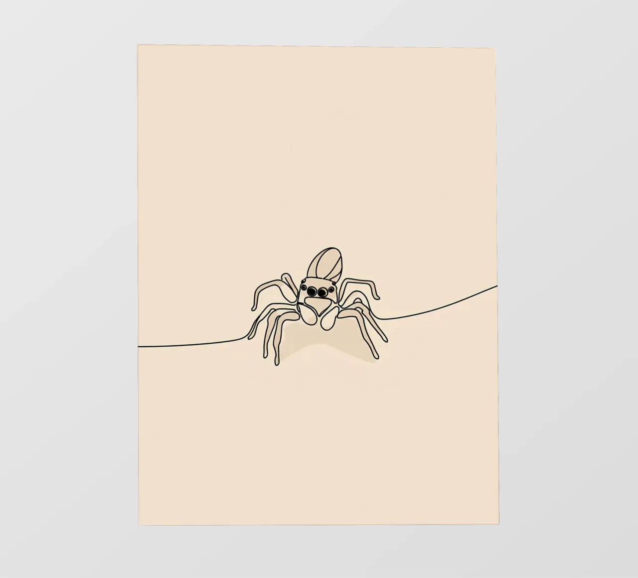 Disegno lineare minimalista di un ragno telo in pvc da Viv Line Art
