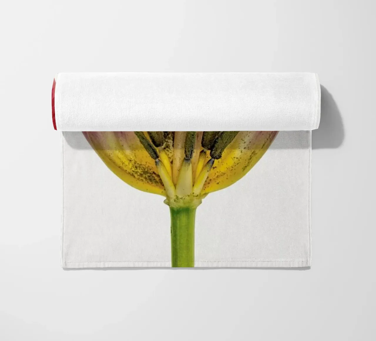 Heart IX telo mare da Curious Collections by Marielle Leenders