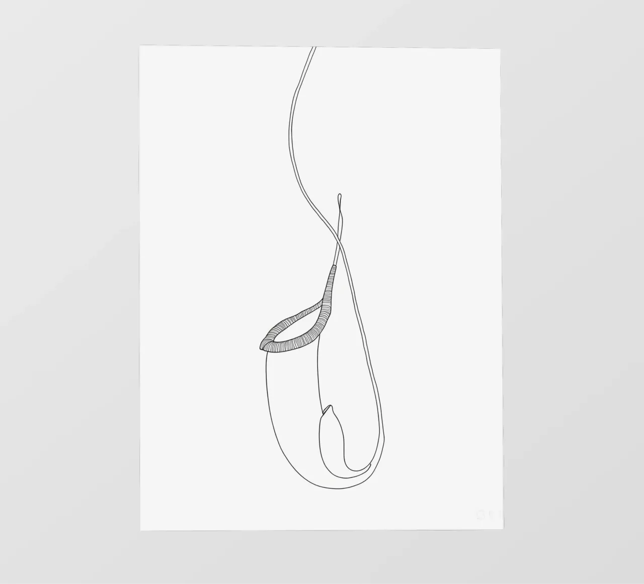 Pianta Brocca Line Art minimalista pellicola backlit da Viv Line Art