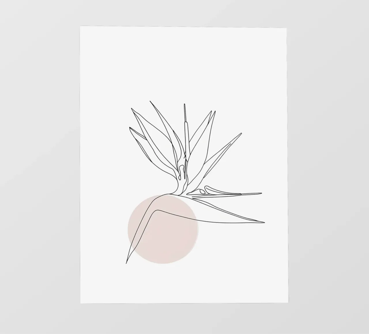 Uccello del Paradiso Line Art minimalista pellicola backlit da Viv Line Art