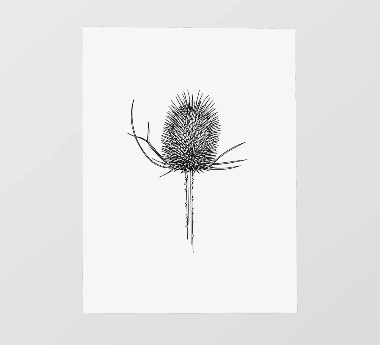 Line art minimalista di Teasel pellicola backlit da Viv Line Art