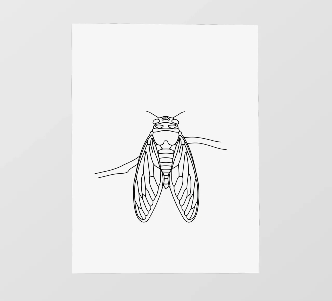 Cicala Line Art minimalista pellicola backlit da Viv Line Art
