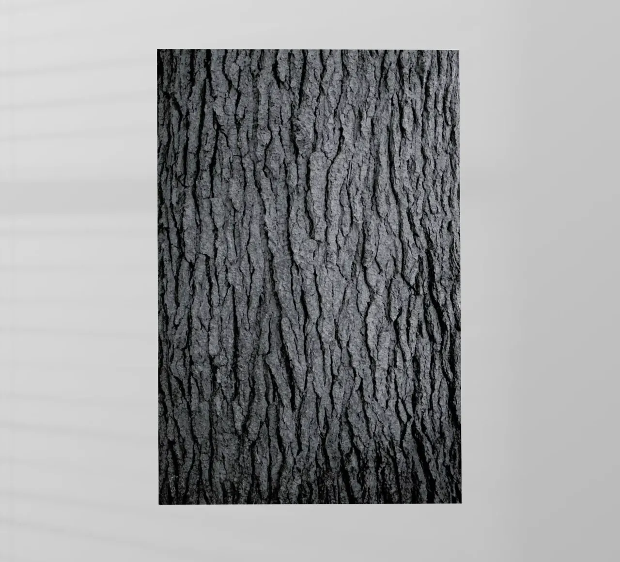 Hug a Tree pellicola backlit da Studio Nahili