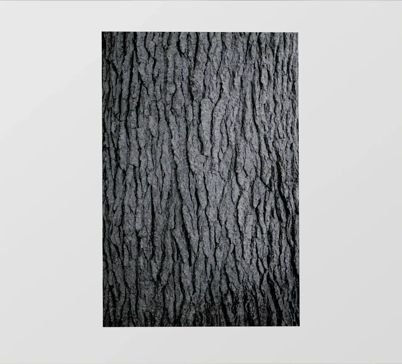 Hug a Tree pellicola backlit da Studio Nahili