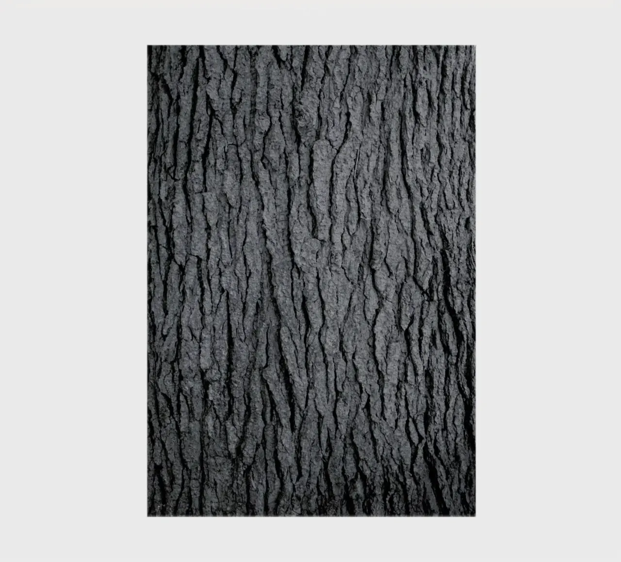 Hug a Tree notebook by Studio Nahili