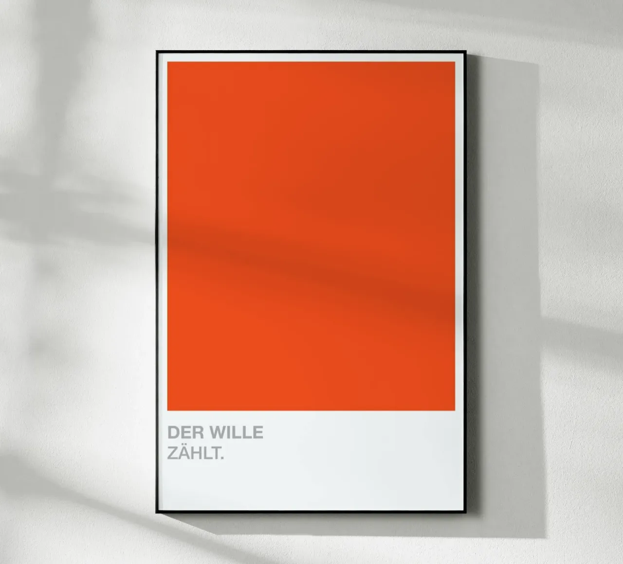 Launig 07 plexiglass da UN-TYPISCH