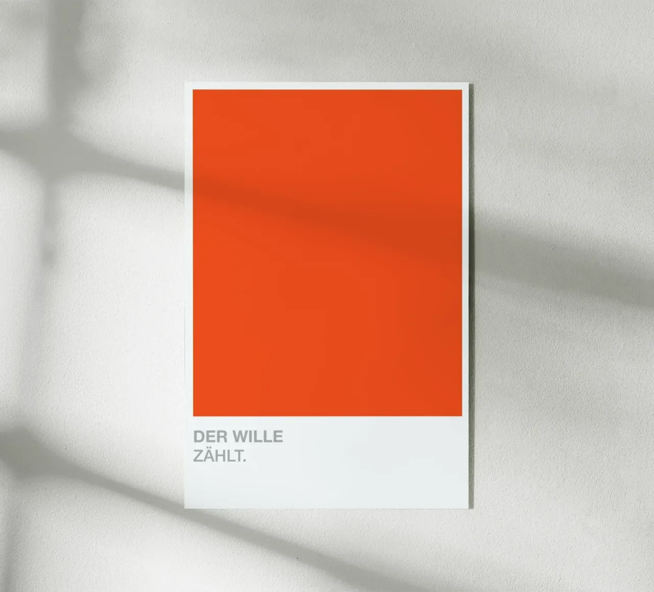 Launig 07 plexiglass da UN-TYPISCH