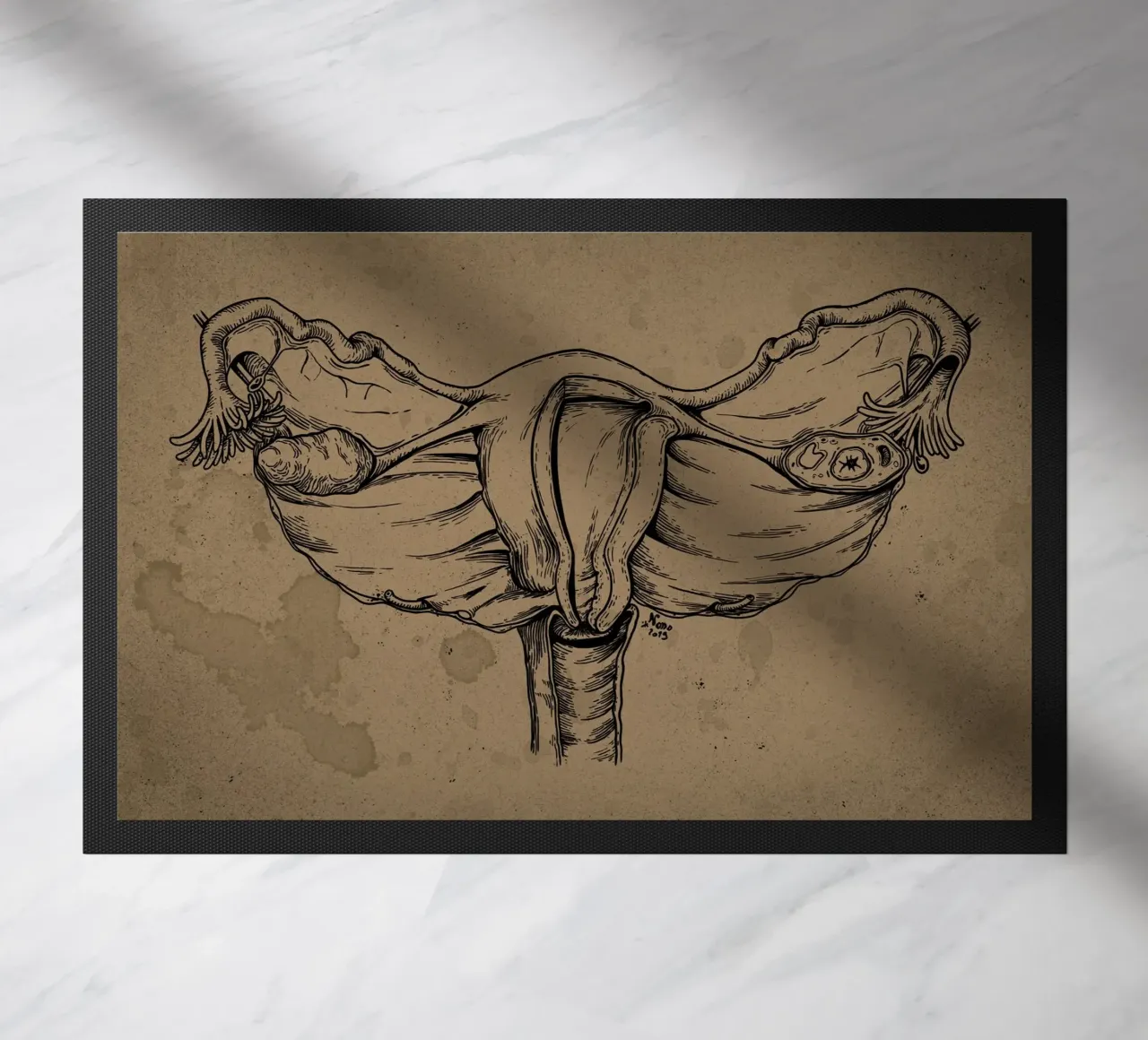 Uterus zerbino da Nora Back