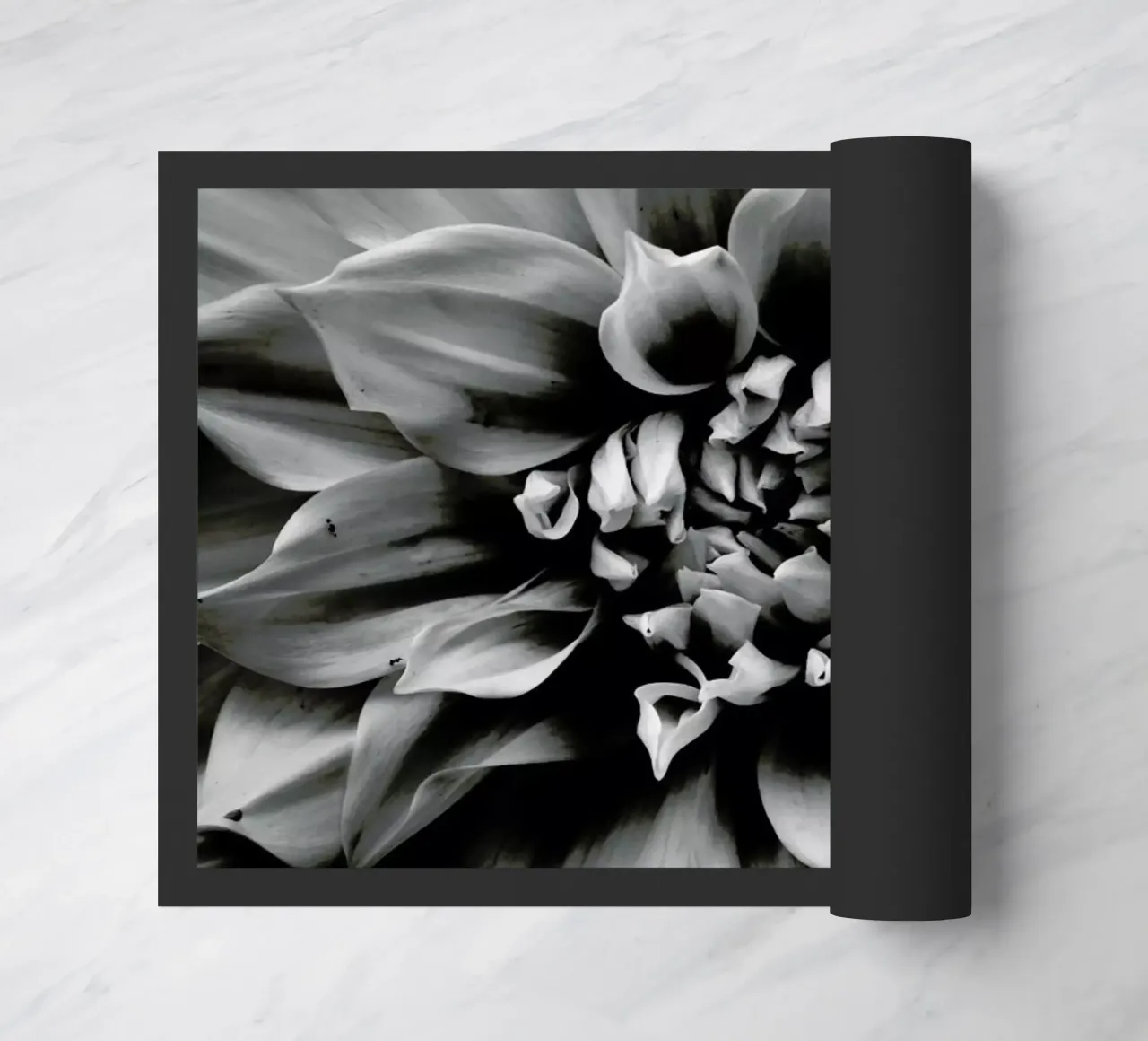 Petal II zerbino da Victoria Frost