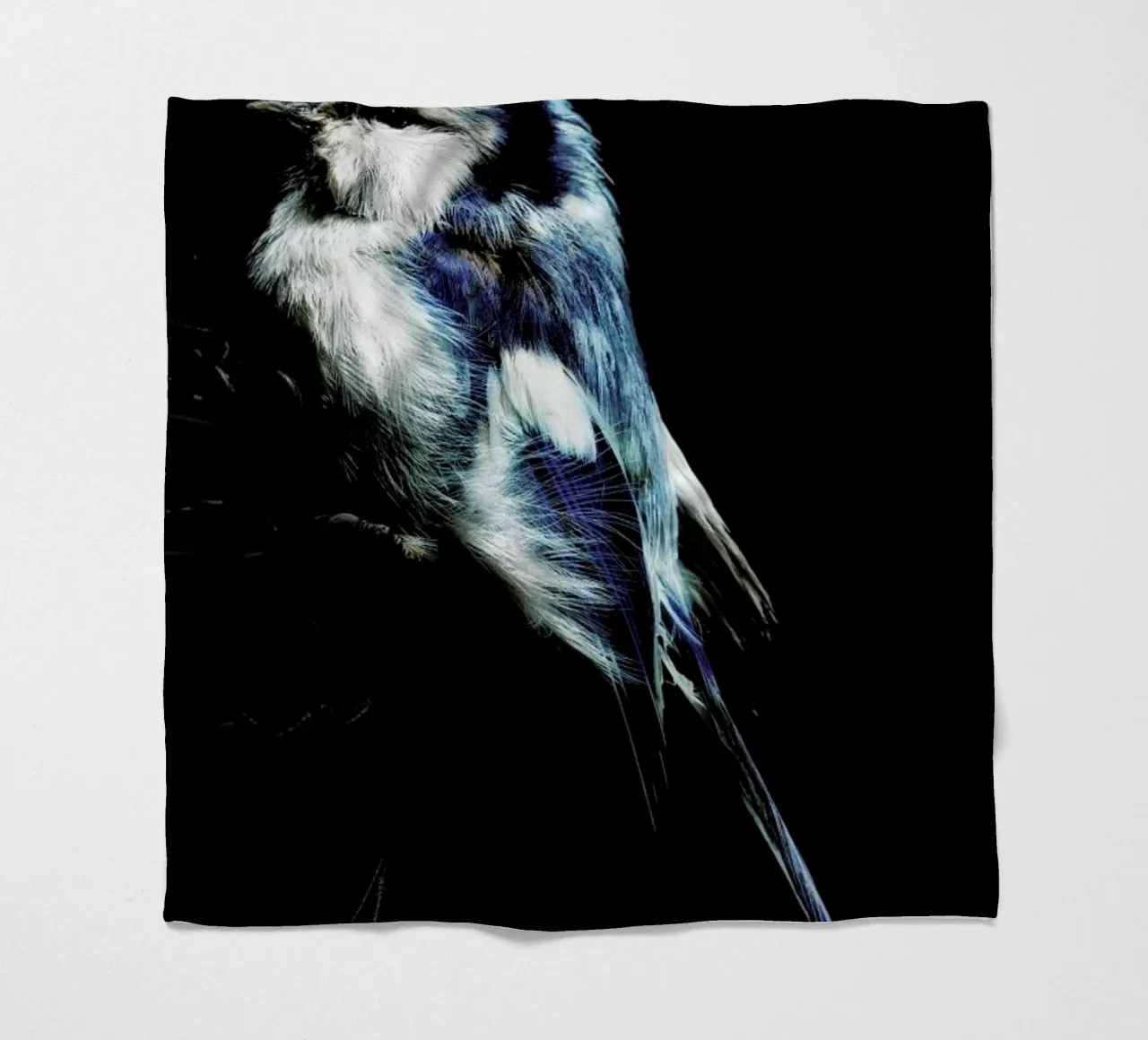 Birds Everywhere 1 coperta in pile da Günther Egger