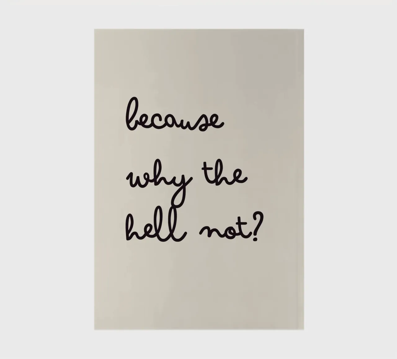 Because Why the Hell Not? | Fun & Playful Handwritten Print notebook by PrintCessStudio