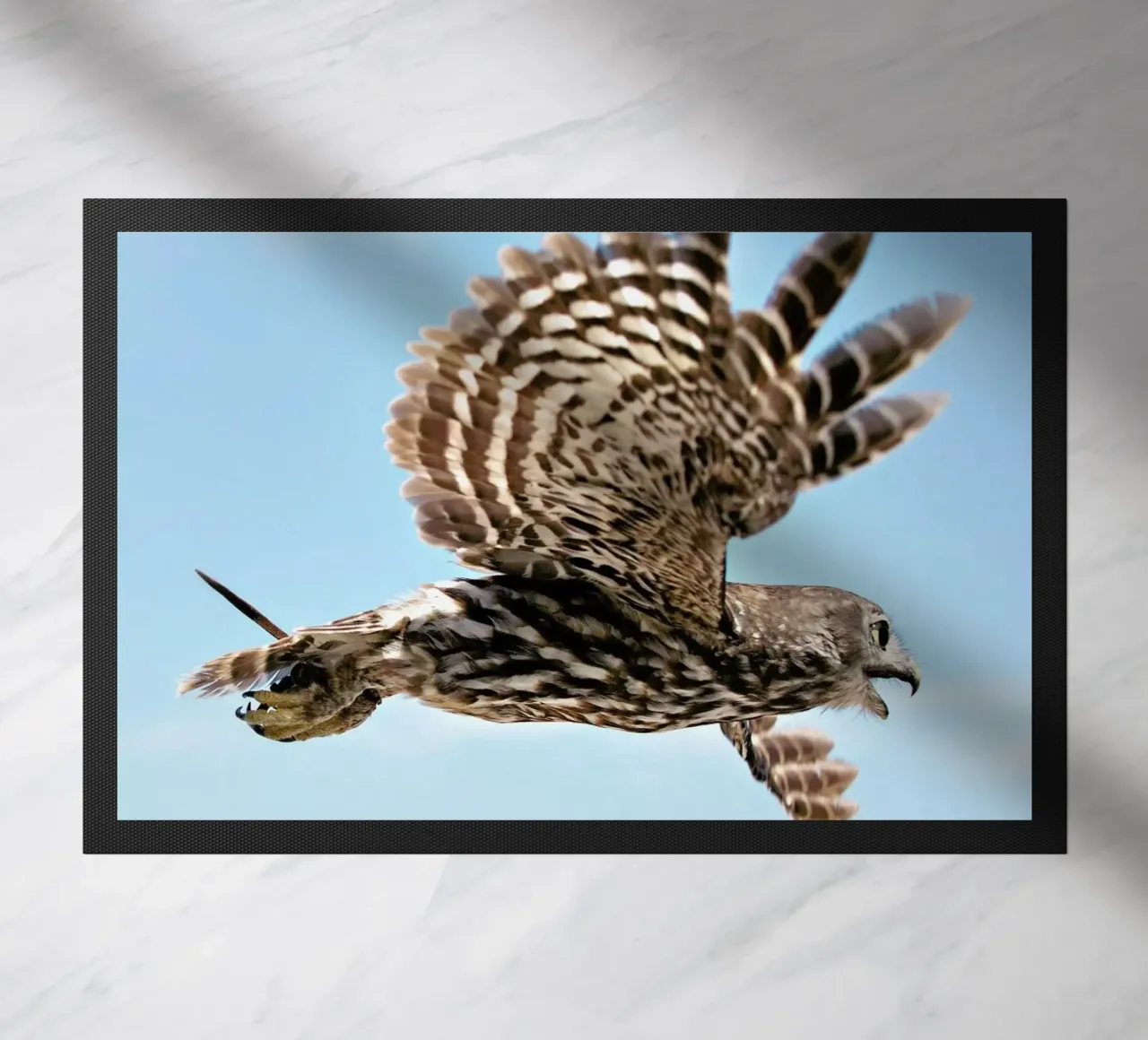 Owl zerbino da Charlotte Curd