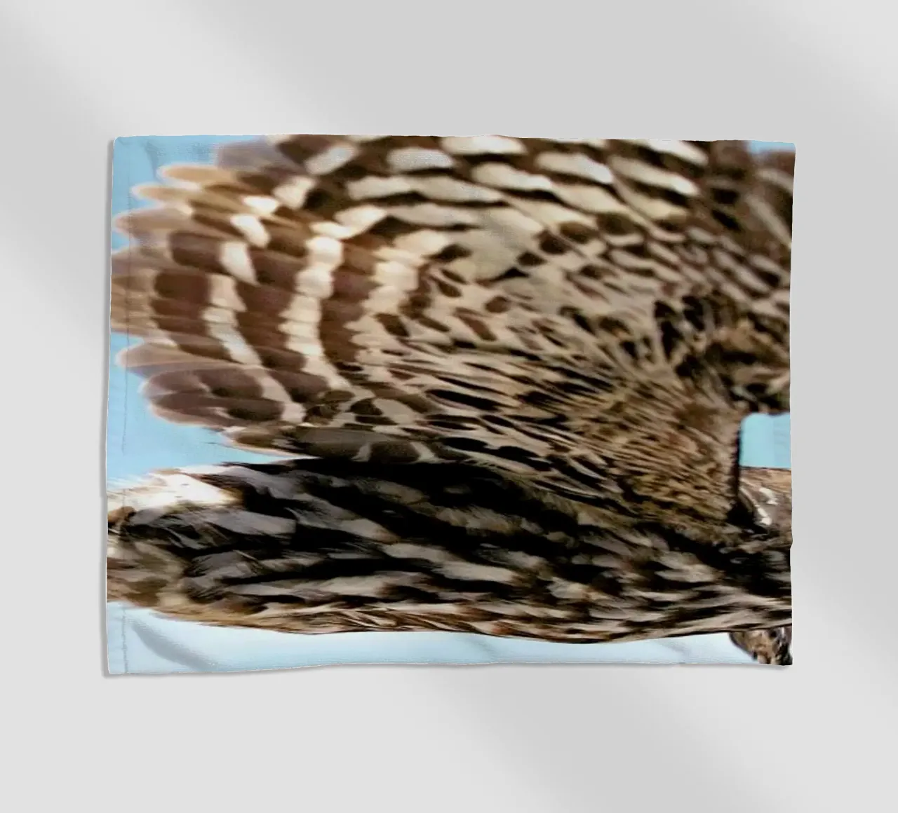 Owl telo mare da Charlotte Curd