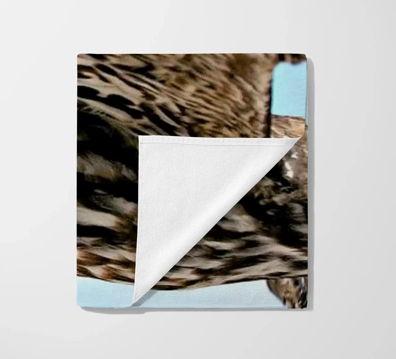 Owl telo mare da Charlotte Curd