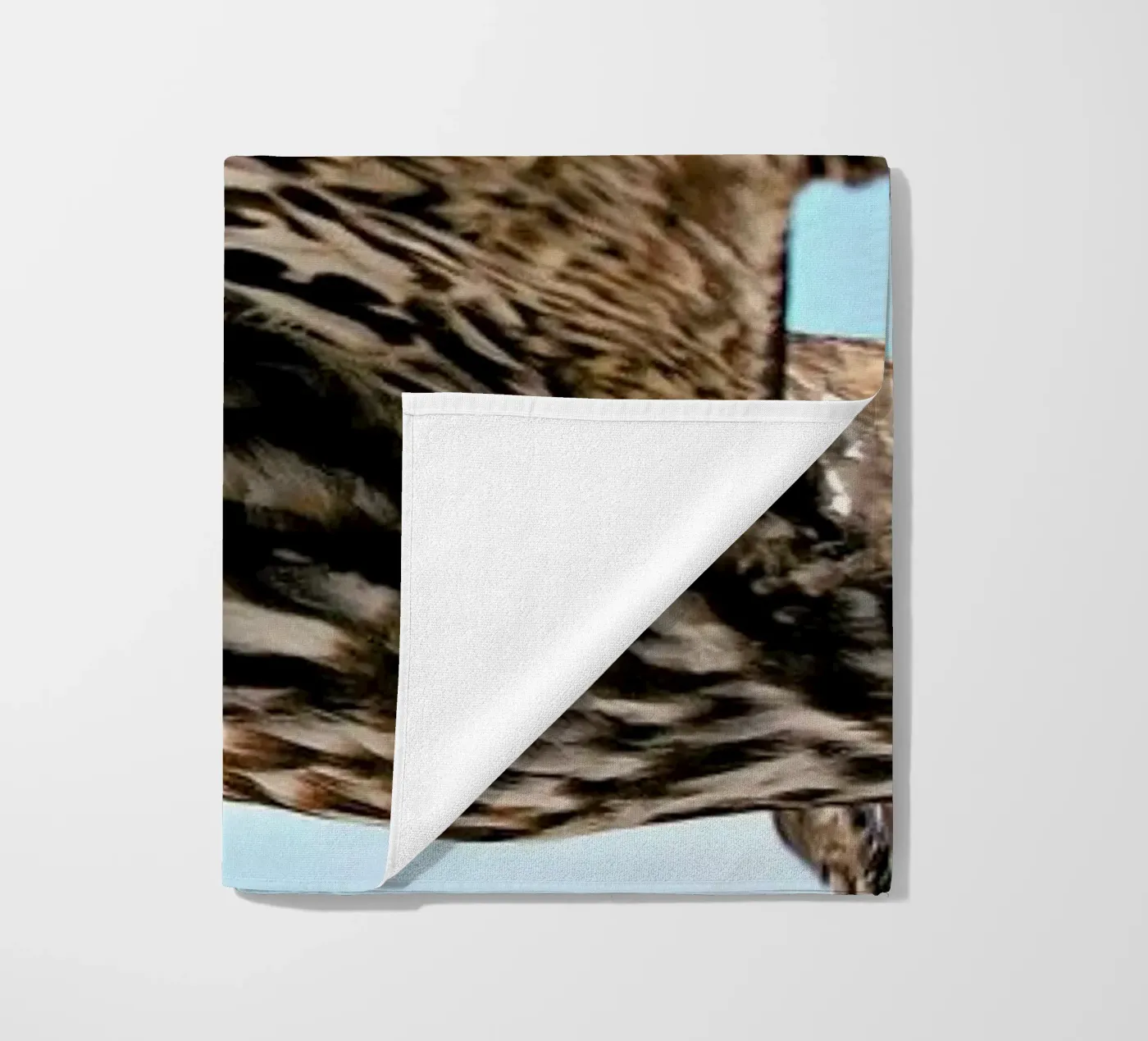 Owl beach towel by Charlotte Curd