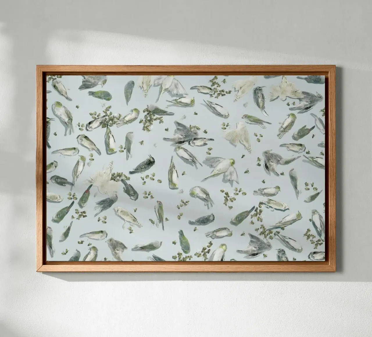 Birds & Bees alluminio dibond da Julian Wolkenstein