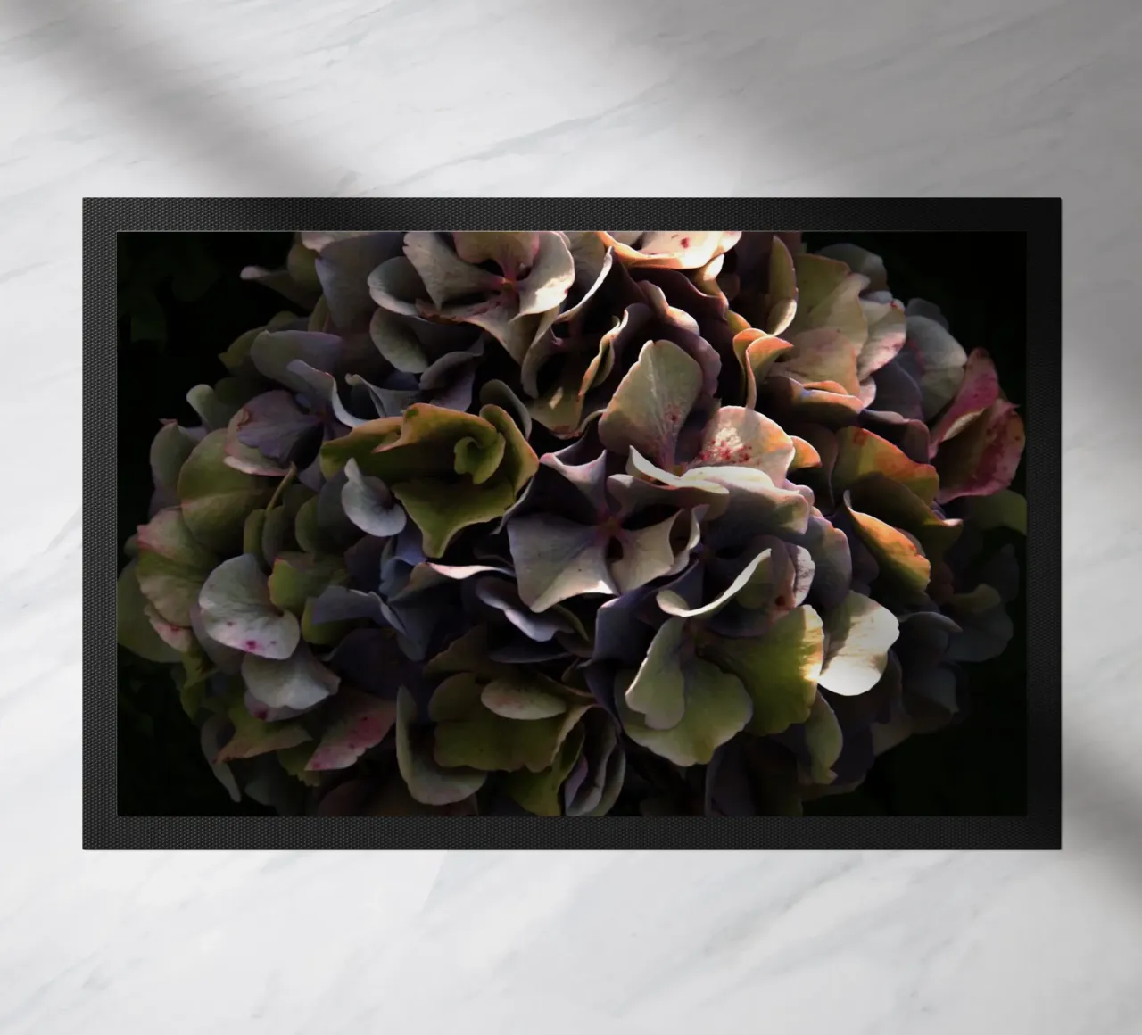 Ortensia da fiore II zerbino da Teresa André