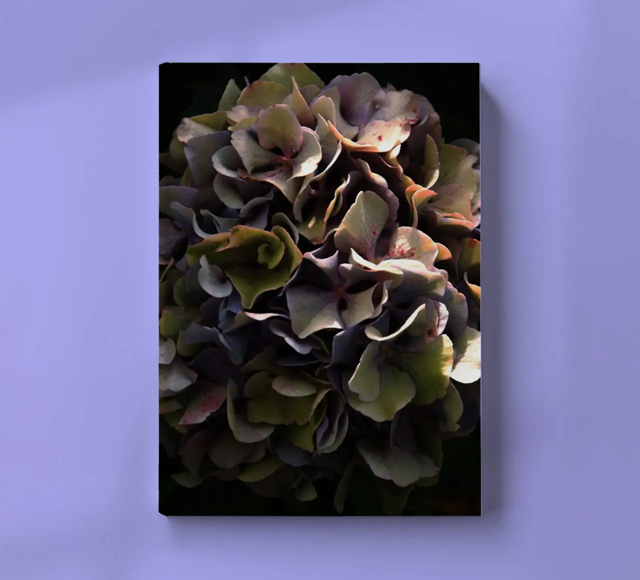 Flower hydrangea II notebook by Teresa André