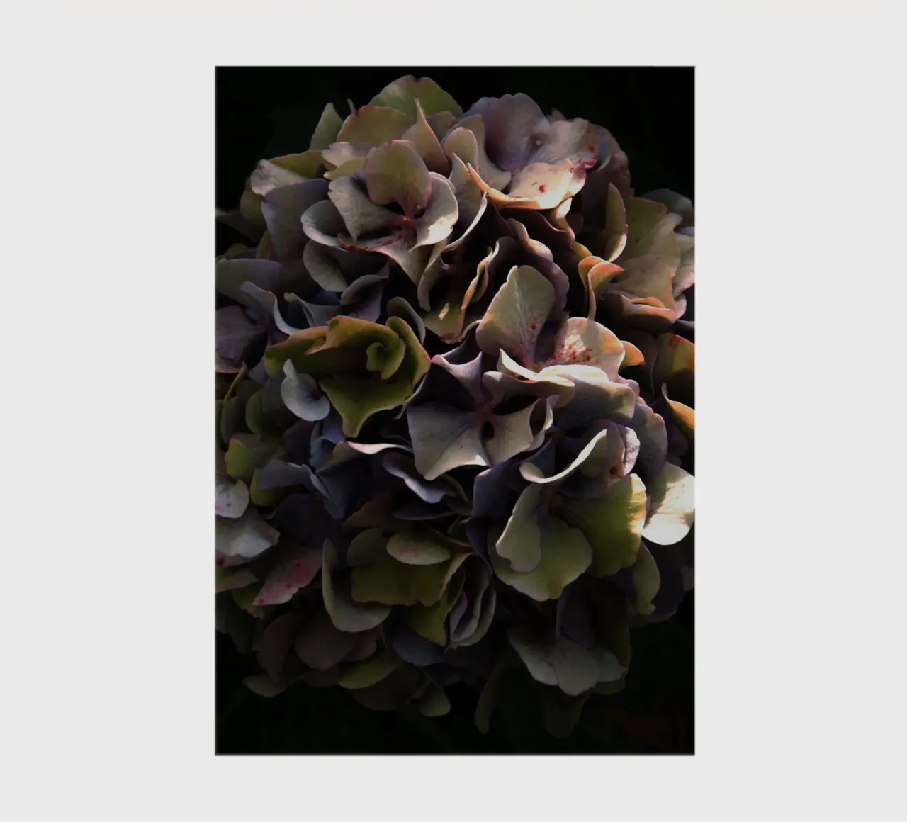 Flower hydrangea II notebook by Teresa André