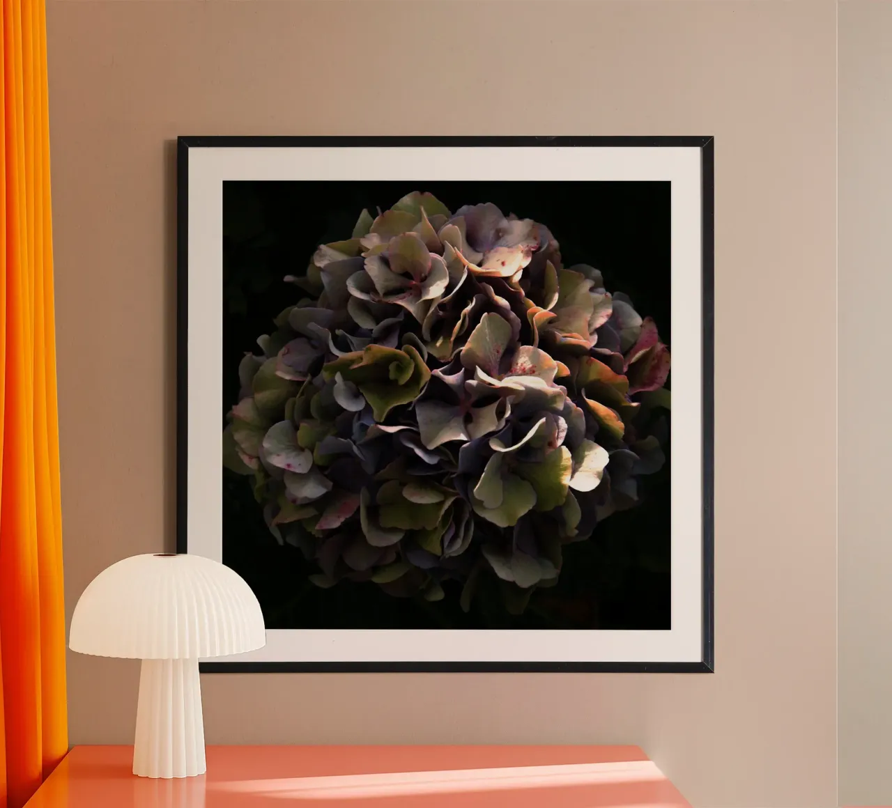 Ortensia da fiore II poster con telaio in alluminio da Teresa André