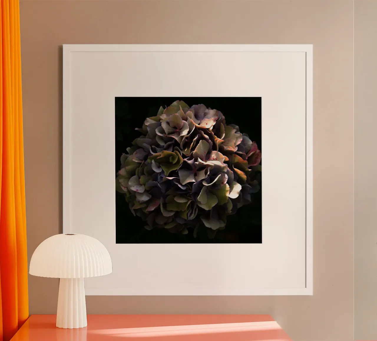Ortensia da fiore II poster con telaio in alluminio da Teresa André