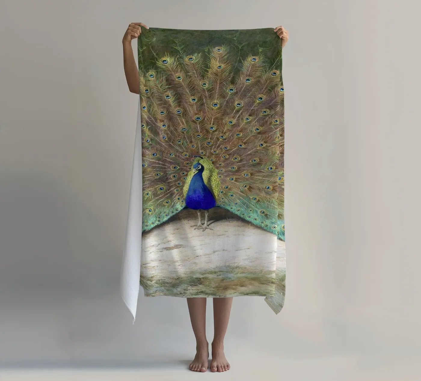 Peacock telo mare da Apolo Prints