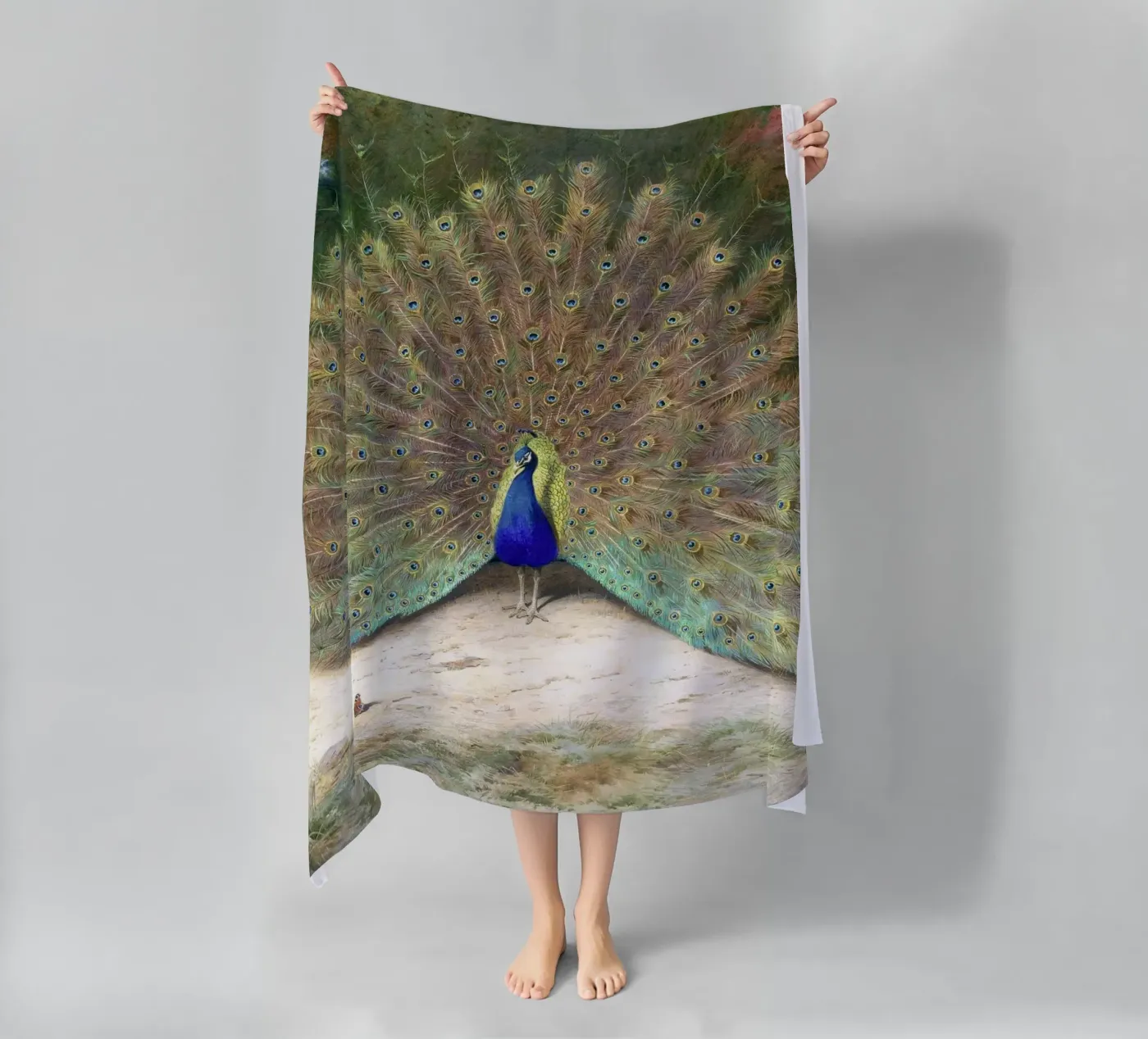 Peacock telo mare da Apolo Prints