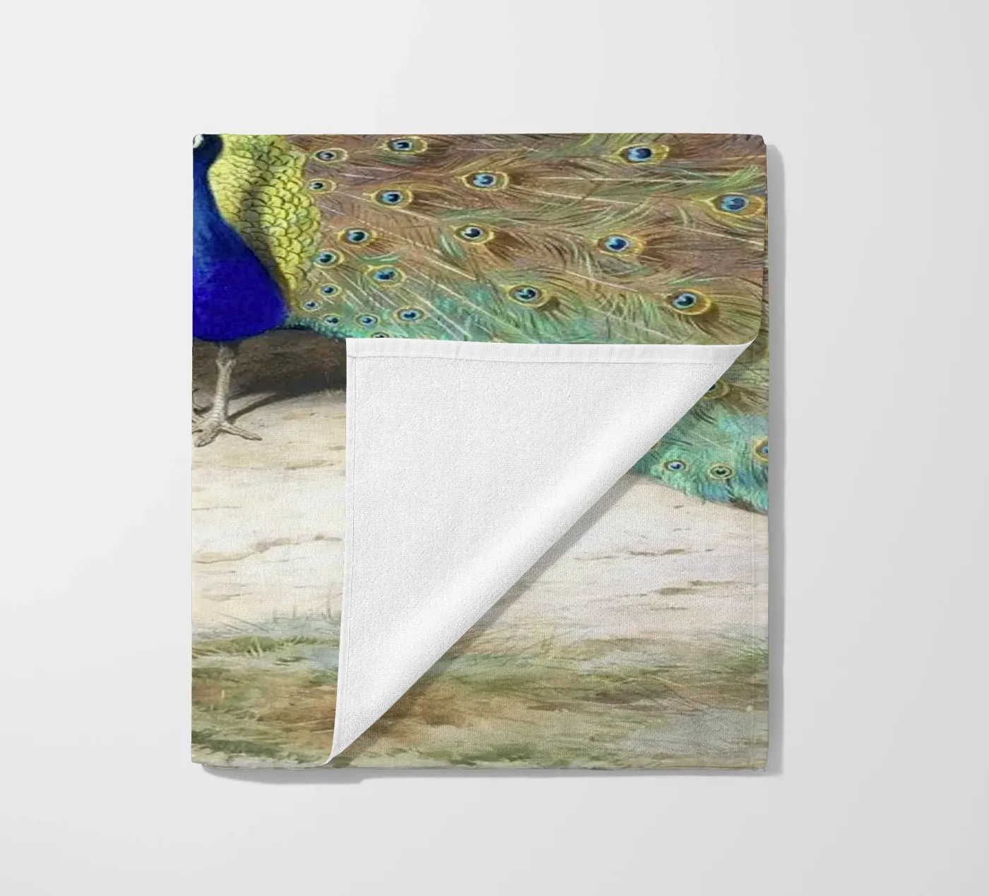Peacock telo mare da Apolo Prints