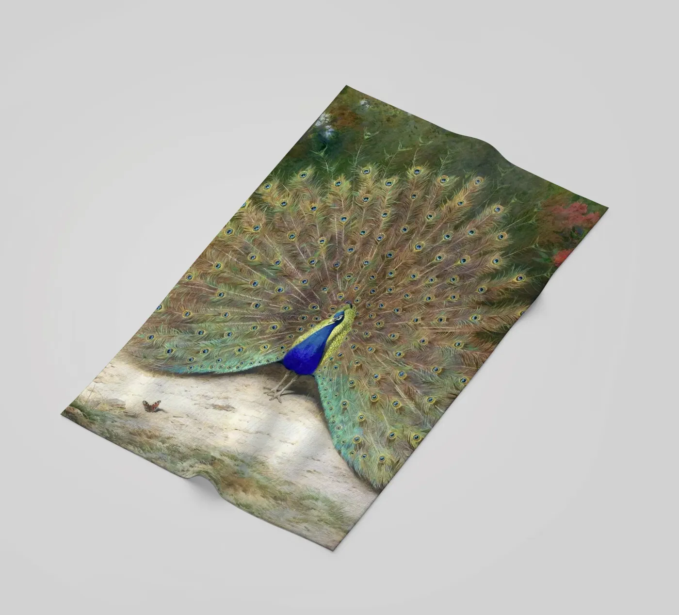 Peacock telo mare da Apolo Prints