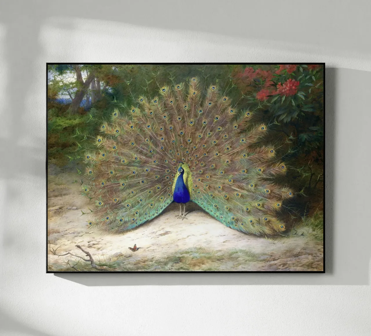 Peacock acryl van apoloprints