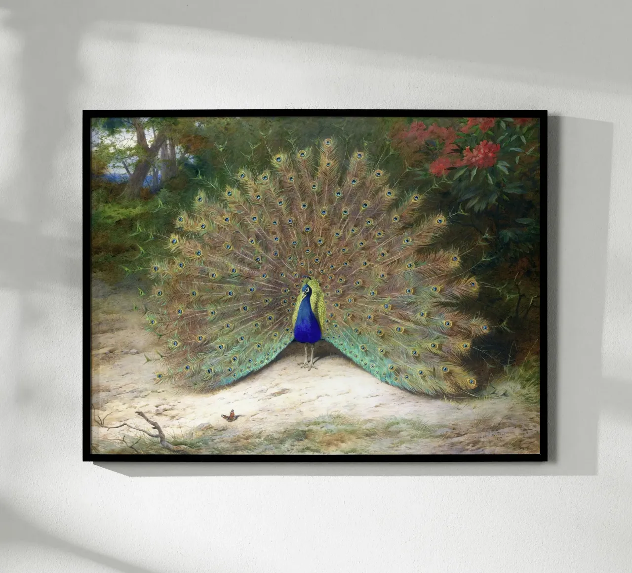 Peacock poster da apoloprints