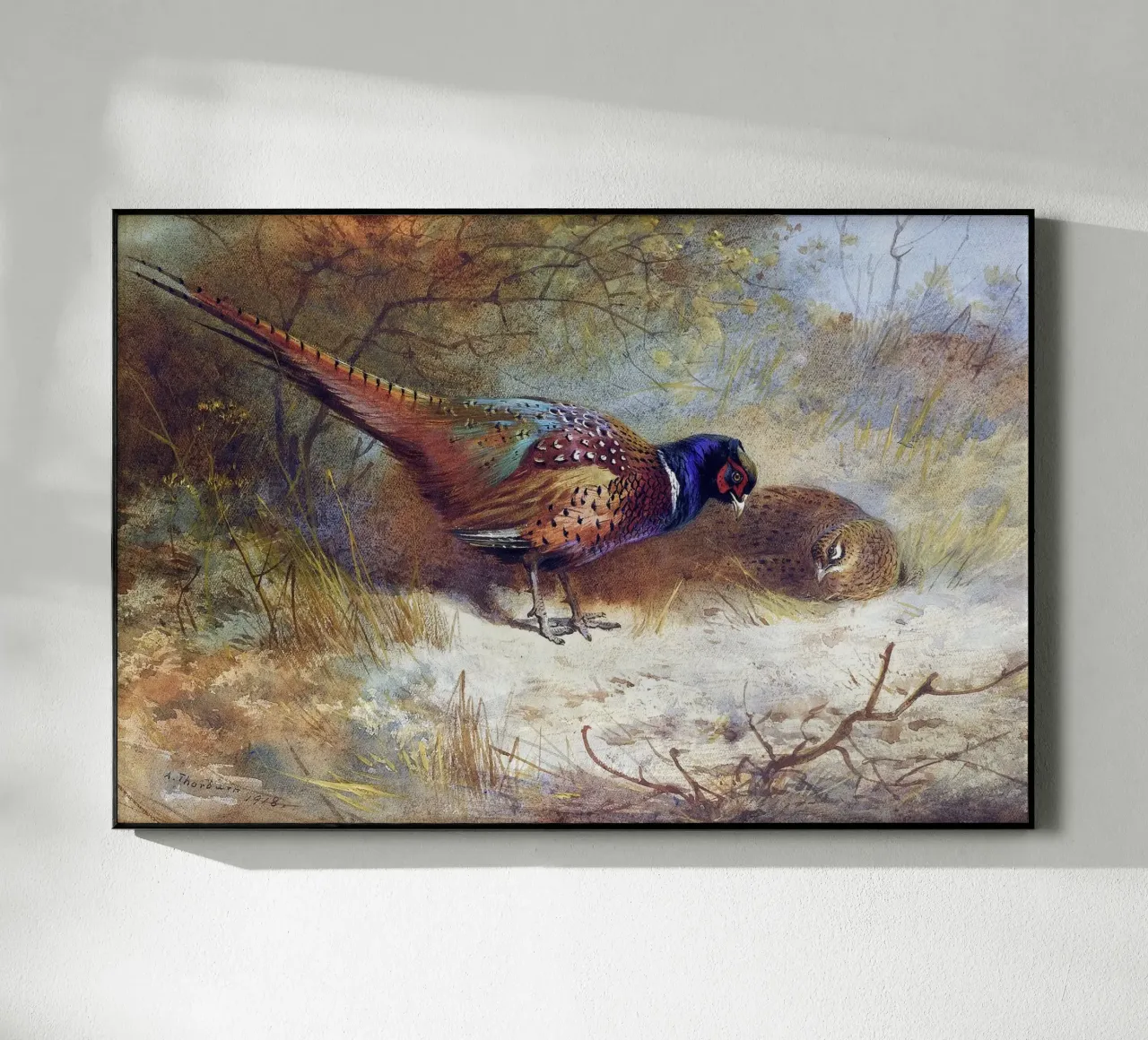 Pheasants plexiglass da apoloprints