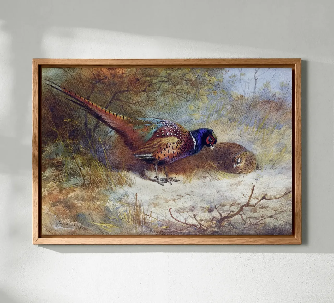 Pheasants canvas with Floater frame by apoloprints