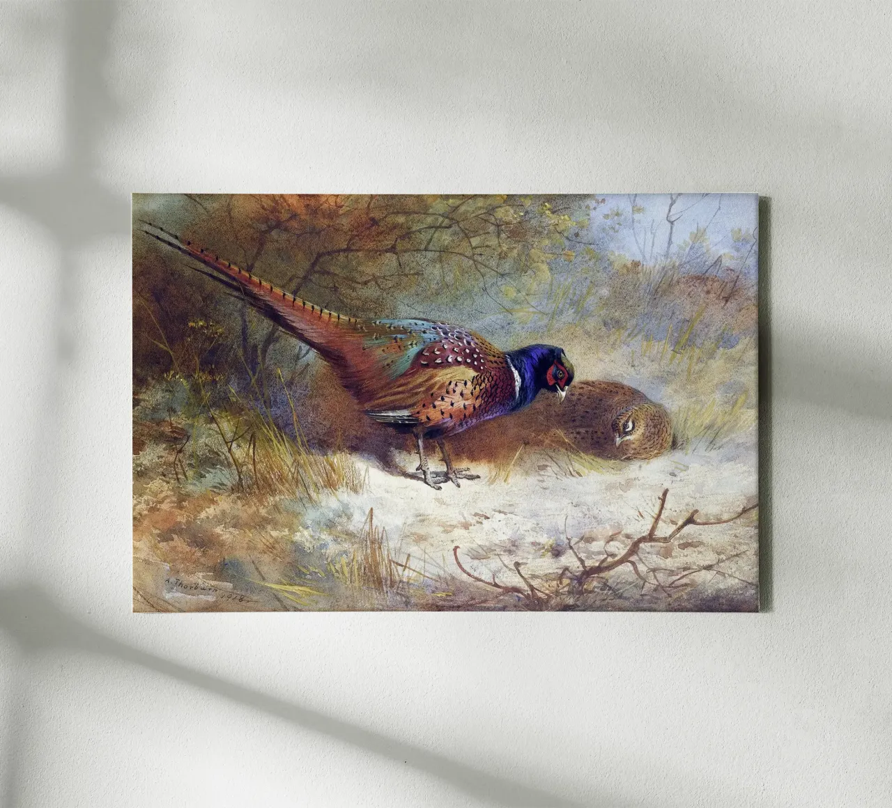 Pheasants canvas with Floater frame by apoloprints