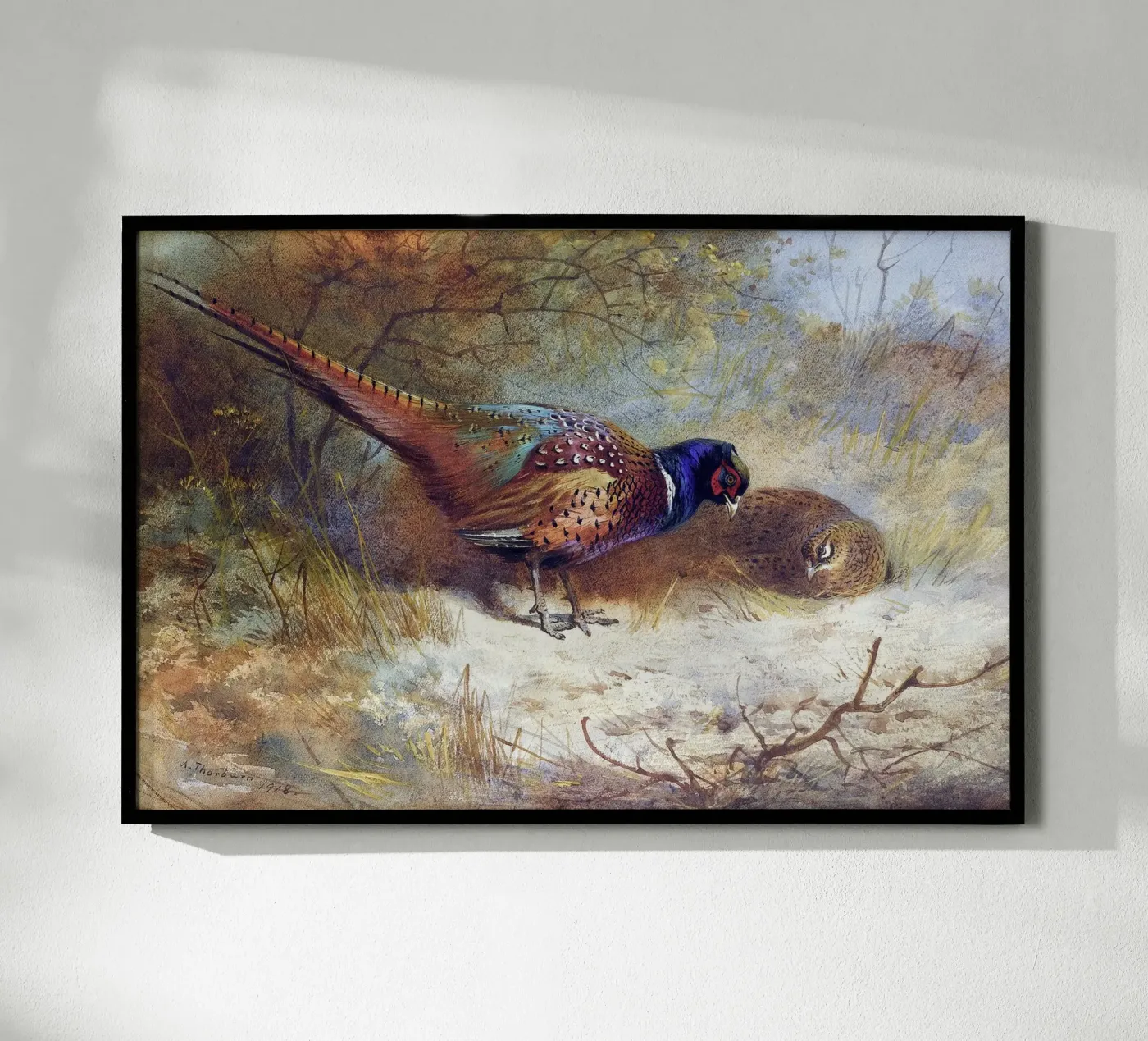 Pheasants poster da Apolo Prints